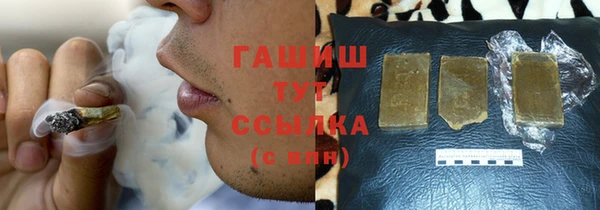 индика Богородск